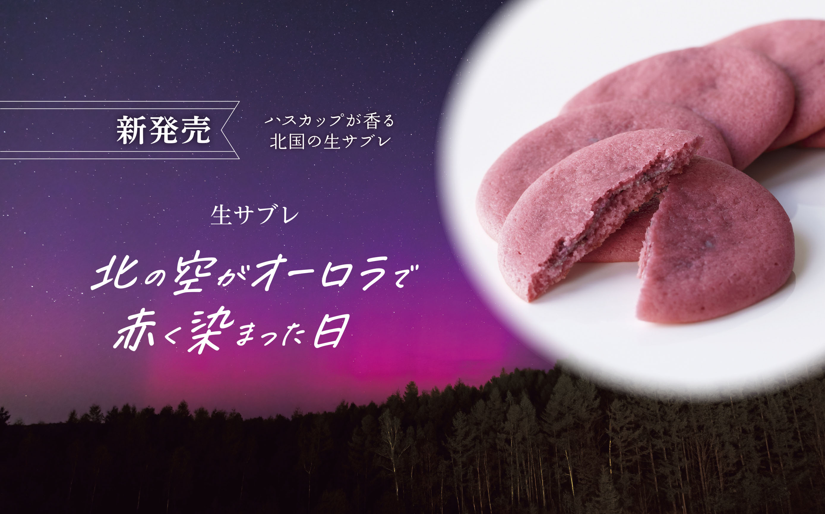 北の空がオーロラで赤く染まった日