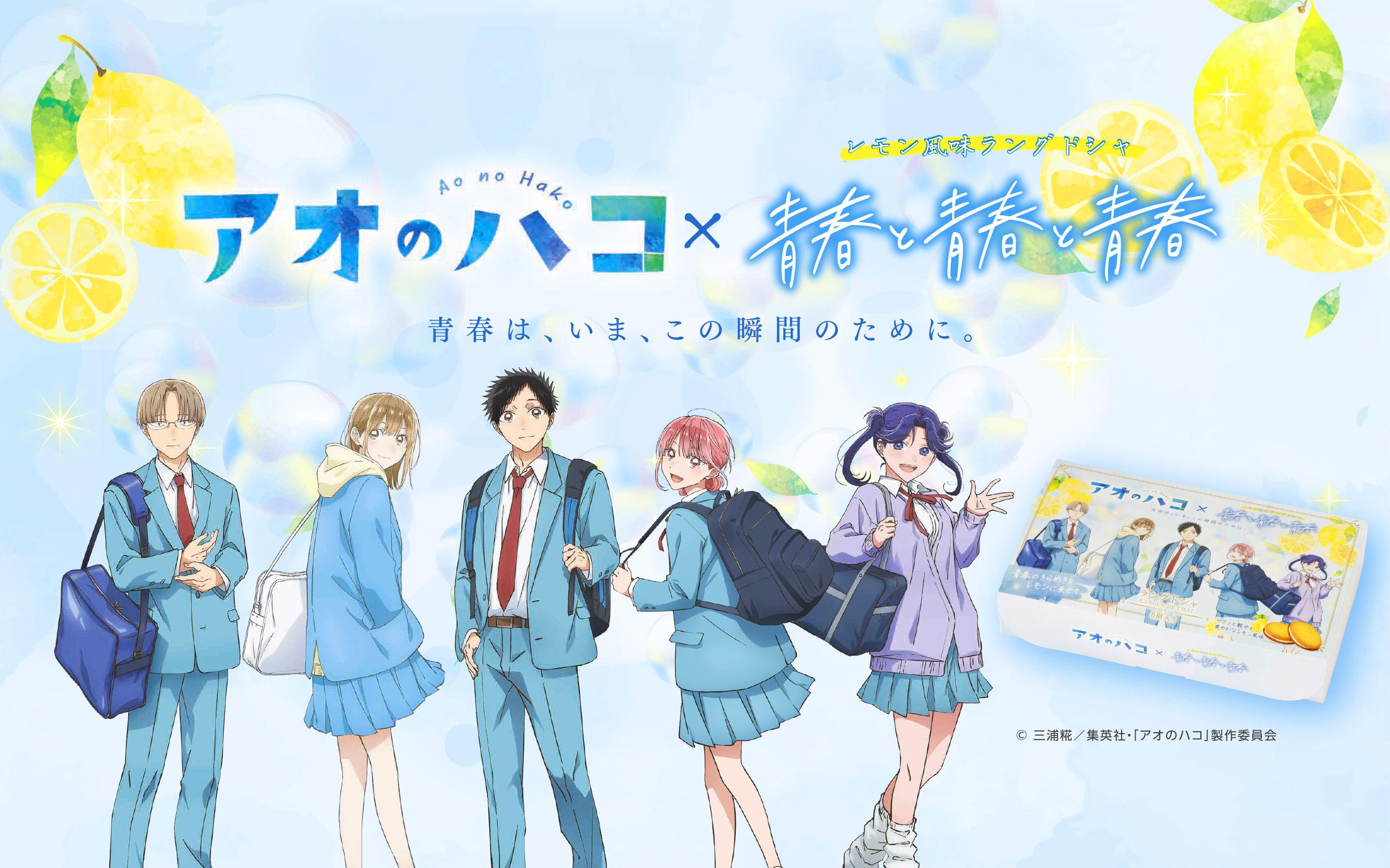 アオのハコ